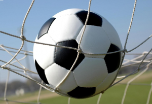 Intermediate Soccer Goal Nets - 4 x 2m-0