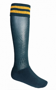 Twin Stripe Sports Socks - 7 colours-3177